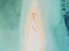 île de zanzibar, tanzanie, afrique photo