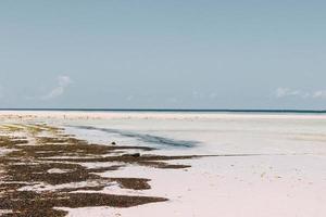 plage de muyuni, île de zanzibar, tanzanie photo