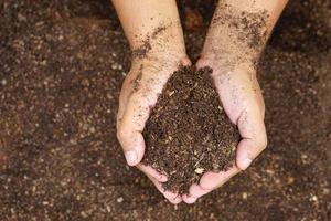 un sol fertile est utilisé pour faire pousser des plantes entre les mains de l'homme. photo