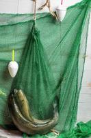 pêche au filet vert avec du poisson frais photo