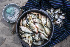 poisson du lac atitlan au marché de san marcos photo
