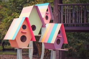maison d'oiseau colorée. photo