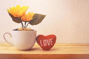 tournesol dans une tasse blanche photo