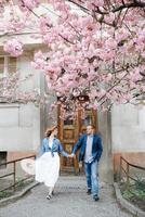 couple amoureux dans un verger de pommiers en fleurs allongé sur la couverture photo