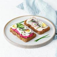 smorrebrod salé, deux sandwichs danois traditionnels. pain de seigle noir aux anchois photo