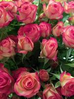 fond floral d'un bouquet de roses de brousse photo