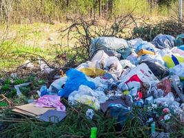 dépotoir, ordures dans la nature, catastrophes écologiques dans la forêt photo