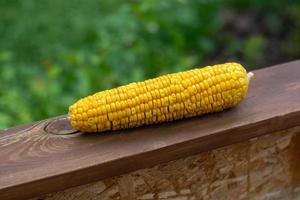 un épi de maïs frais et mûr se trouve sur une planche sur fond de jardin verdoyant. photo