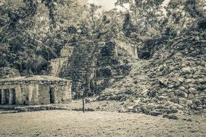 ancien site maya avec temple ruines pyramides artefacts muyil mexique. photo