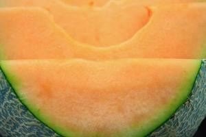 tranches de melon cantaloup photo