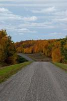 route de campagne dans les prairies canadiennes à l'automne. photo