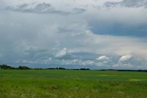 terres agricoles et cultures de canola, saskatchewan, canada. photo