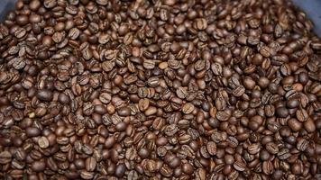 grains de café fraîchement torréfiés