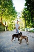 homme avec deux chiens pit bull terrier lors d'une promenade. photo