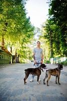 homme avec deux chiens pit bull terrier lors d'une promenade. photo