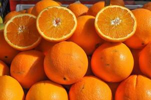 tranches de fruits oranges photo