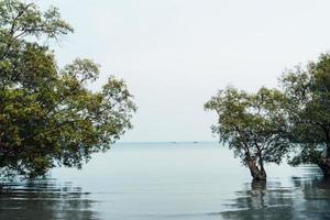 voyage, mer et montagnes rocheuses en thaïlande photo