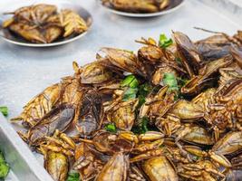 Proxénète frit à vendre sur le marché du frais photo