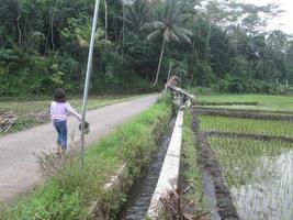 vue sur la route du village de magelang à windusari décorée de cours d'eau à côté, photo