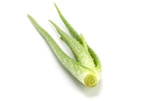 feuille fraîche d'aloe vera isolée sur fond blanc. photo