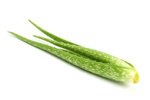 feuille fraîche d'aloe vera isolée sur fond blanc. photo