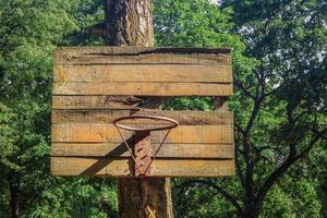 Ancien anneau de basket-ball en métal rouillé sans panier suspendu à une planche de bois cassée sur fond de feuilles d'arbre vert à l'extérieur