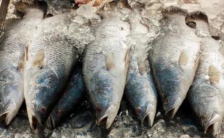 poissons morts au marché frais de la Thaïlande. photo