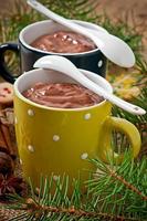 chocolat chaud et pain d'épice de Noël photo