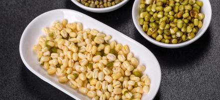 Pousses de haricots verts frais pour bébés biologiques dans un bol en céramique blanche sur fond de béton foncé photo