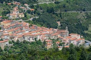 vue fascinante d'un village sur la colline au milieu d'arbres denses à croissance épaisse sous la lumière du soleil photo