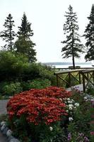 un pont de bois dans un parc au bord d'un lac photo