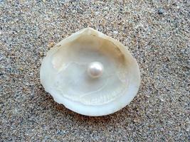 coquille de mer avec une perle dans le sable photo