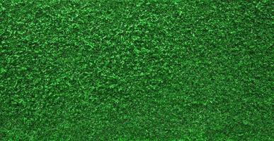 fond texturé de mur de nature verte photo