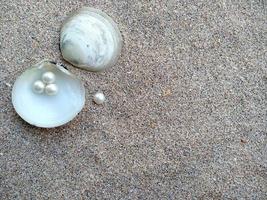 coquille avec une perle sur une plage de sable photo