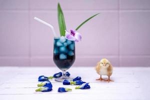 un petit poussin jaune avec de l'eau de pois papillon et de la glace dans un verre à champagne est décoré d'orchidées et de feuilles de pandan. il est montré et affiché sur une table en bois rose pastel devant le mur de ciment. photo