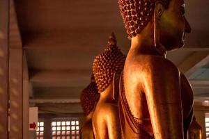 à l'intérieur, beaucoup de statues de bouddha dans la rangée sont assises dans un endroit sombre. photo