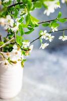 branches de cerisier en fleurs dans le vase photo