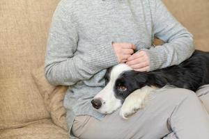 femme méconnaissable jouant avec un mignon chiot border collie sur un canapé à la maison à l'intérieur. propriétaire fille caressant tenant chien ami assis sur le canapé. amour pour le concept d'équipe de soutien d'amitié d'animaux de compagnie. photo