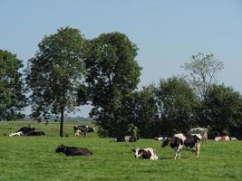 le village de ditzum au bord de la rivière ems photo