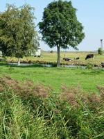 le village de ditzum au bord de la rivière ems photo