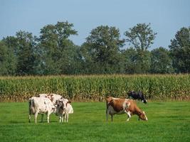 Bredevoort aux Pays-Bas photo