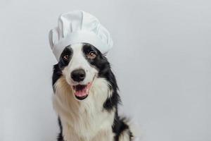 chiot drôle border collie en chapeau de cuisine chef isolé sur fond blanc. chien de chef cuisinant le dîner. concept de menu de restaurant de cuisine maison. processus de cuisson. photo