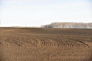 champ arable de printemps dans le village et l'horizon photo