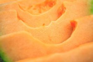 tranches de melon cantaloup photo