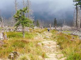 sentier dans les montagnes photo