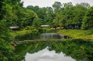 beau paysage naturel de rivière dans la forêt verte tropicale d'asie du sud-est. photo