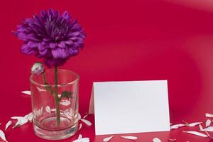 concept de design de conception de voeux saint valentin avec fleur sur fond rouge. photo