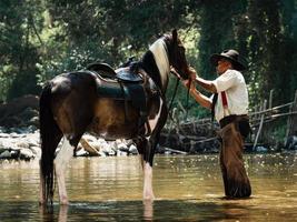 cowboys seniors se reposant avec des chevaux et se baignant dans la rivière photo