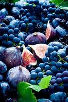 figues, raisins, pruneaux et dewberry frais