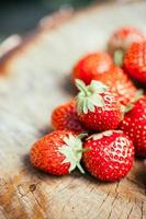 fraise. des fraises. baies biologiques photo